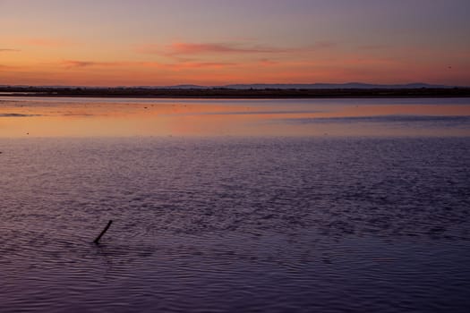 landscape of Camargues in the south of France. Ornithological nature reserve