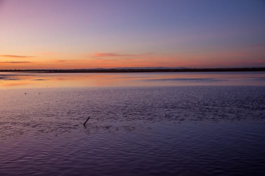 landscape of Camargues in the south of France. Ornithological nature reserve