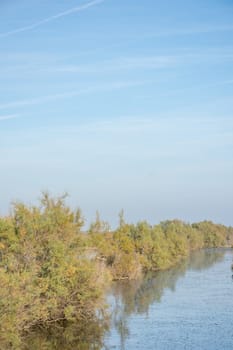 landscape of Camargues in the south of France. Ornithological nature reserve