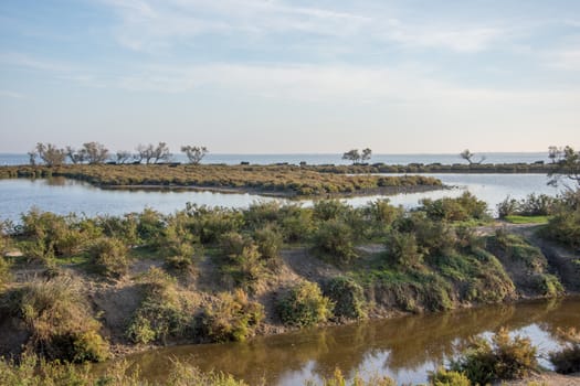 landscape of Camargues in the south of France. Ornithological nature reserve