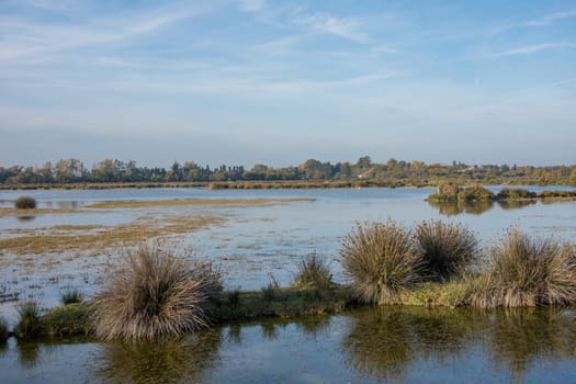 landscape of Camargues in the south of France. Ornithological nature reserve