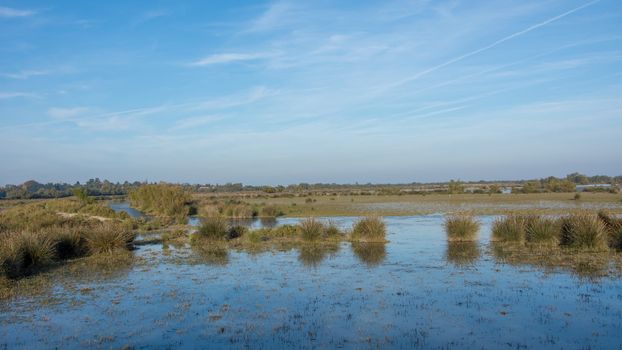 landscape of Camargues in the south of France. Ornithological nature reserve