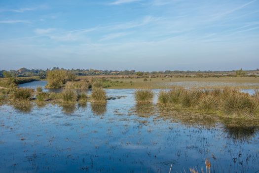 landscape of Camargues in the south of France. Ornithological nature reserve