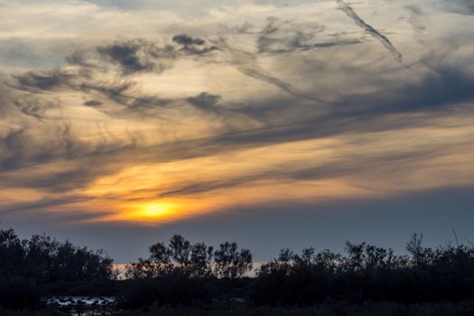 landscape of Camargues in the south of France. Ornithological nature reserve