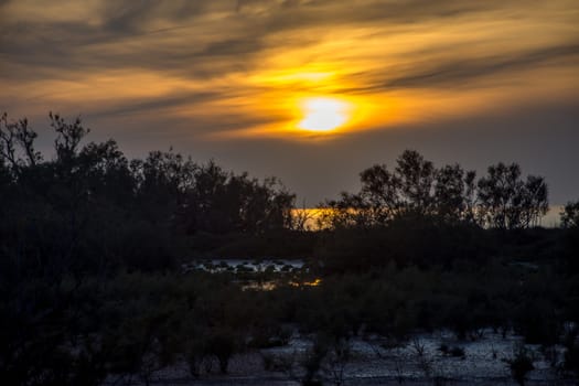 landscape of Camargues in the south of France. Ornithological nature reserve