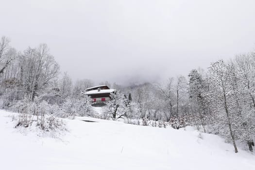 holiday at the foot of Mont Blanc in winter in the Chamonix Valley, France