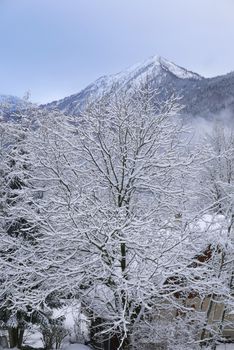holiday at the foot of Mont Blanc in winter in the Chamonix Valley, France