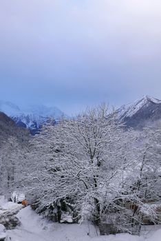 holiday at the foot of Mont Blanc in winter in the Chamonix Valley, France