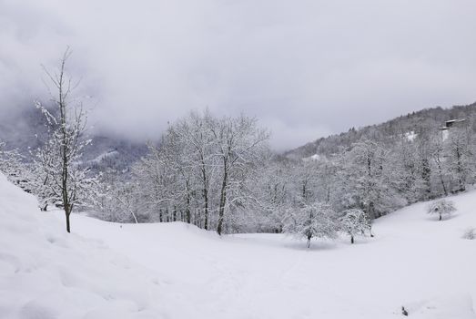 holiday at the foot of Mont Blanc in winter in the Chamonix Valley, France