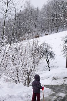 holiday at the foot of Mont Blanc in winter in the Chamonix Valley, France