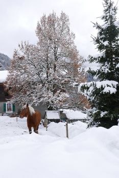 holiday at the foot of Mont Blanc in winter in the Chamonix Valley, France