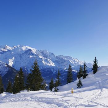 holiday at the foot of Mont Blanc in winter in the Chamonix Valley, France