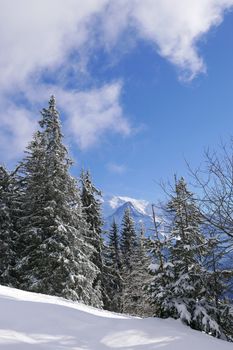 holiday at the foot of Mont Blanc in winter in the Chamonix Valley, France