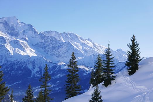 holiday at the foot of Mont Blanc in winter in the Chamonix Valley, France