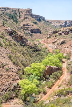 Landscape on the Cannibal Hiking Trail near Clarens in the Free State Province