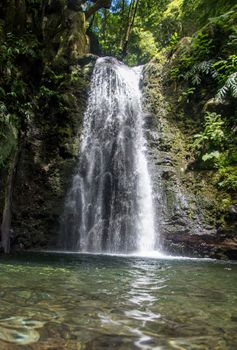 Waterfall on the island of Sao Miguel in the Azores. preggo salto in the middle of the lush vegetation