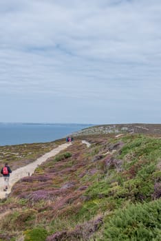 a landscape of Brittany in summer, France. sea, color of this region in summer