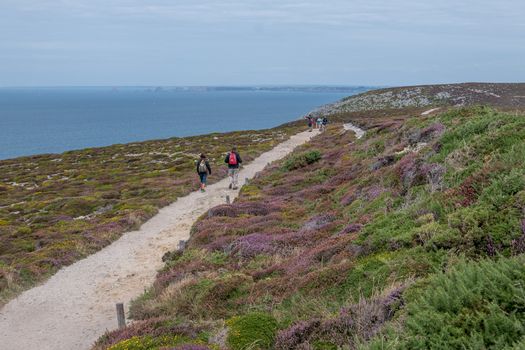 a landscape of Brittany in summer, France. sea, color of this region in summer