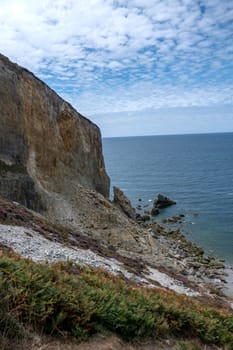 a landscape of Brittany in summer, France. sea, color of this region in summer