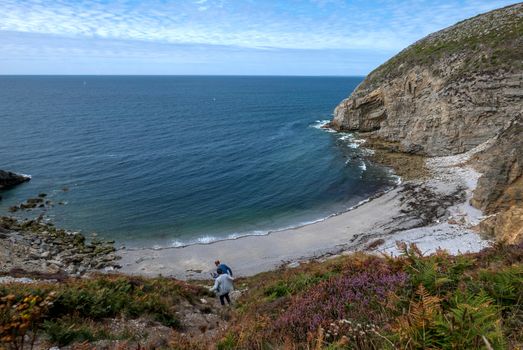 a landscape of Brittany in summer, France. sea, color of this region in summer