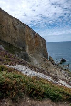 a landscape of Brittany in summer, France. sea, color of this region in summer