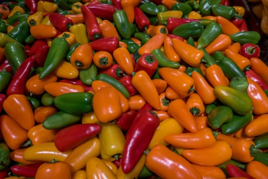 vegetables and condiments made of peppers and multicolored peppers on a stall