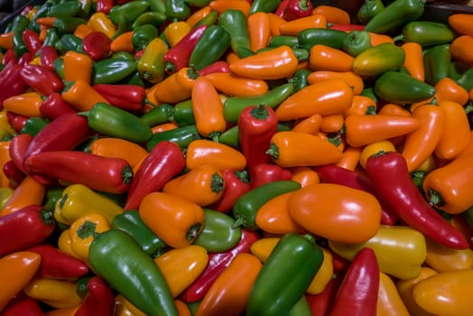 vegetables and condiments made of peppers and multicolored peppers on a stall