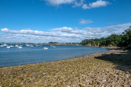 a landscape of Brittany in summer, France. sea, color of this region in summer