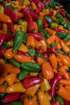 vegetables and condiments made of peppers and multicolored peppers on a stall