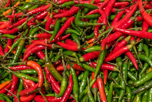 vegetables and condiments made of peppers and multicolored peppers on a stall