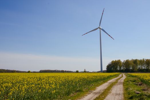 Bright blue sky moving and wind turbine.