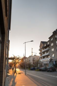 City street in early spring with pink cherry tree at dusk