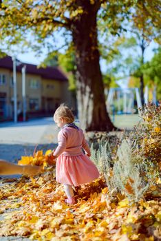 Adorable girl having fun on beautiful autumn day. authentic childhood image