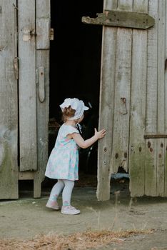 Curiuos child farmer playing in barn with cat in rustic poultry house in countryside farmyard farming lifestyle.