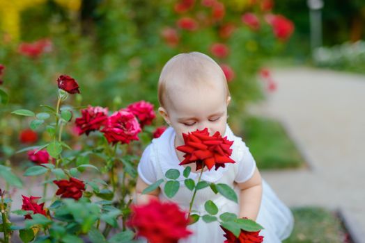 Smiling girl on the meadow looking right at camera. authentic image. Smell roses flowers