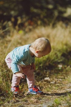 Adorable girl having fun on beautiful autumn day. authentic childhood image