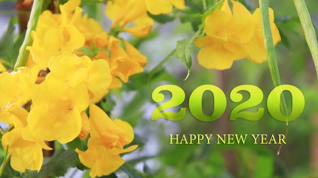 Happy New Year 2020 greeting card with beautiful yellow flower, number on yellow flower background,Nature eco concept,organic greeting card concept for 2020 green nature, use for Festival poster, banner, design Template, website, invitation  