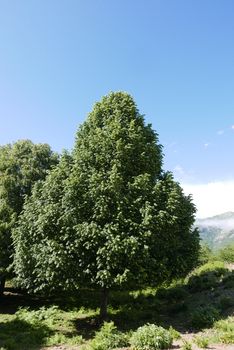 Holidays in southern Corsica.
Discover the mountain landscapes of this beautiful region of France