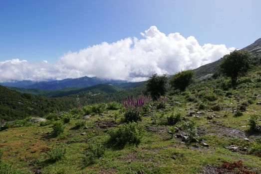 Holidays in southern Corsica.
Discover the mountain landscapes of this beautiful region of France