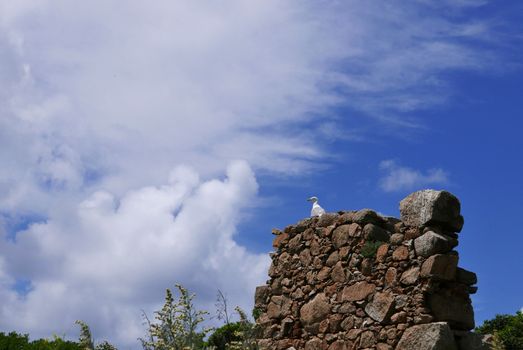 Holidays in southern Corsica.
Discovery of the Sanguinaires Islands, next to the city of Ajaccio