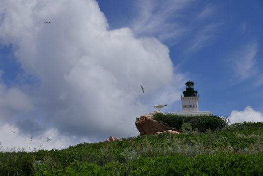Holidays in southern Corsica.
Discovery of the Sanguinaires Islands, next to the city of Ajaccio