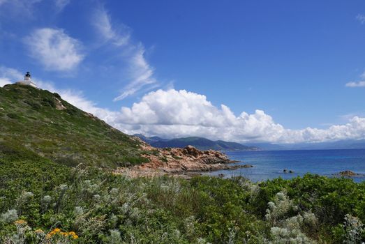 Holidays in southern Corsica.
Discovery of the Sanguinaires Islands, next to the city of Ajaccio