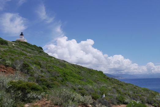 Holidays in southern Corsica.
Discovery of the Sanguinaires Islands, next to the city of Ajaccio