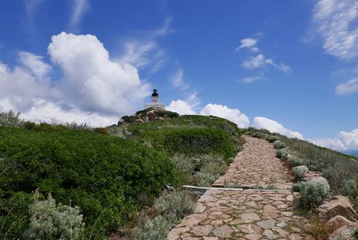 Holidays in southern Corsica.
Discovery of the Sanguinaires Islands, next to the city of Ajaccio