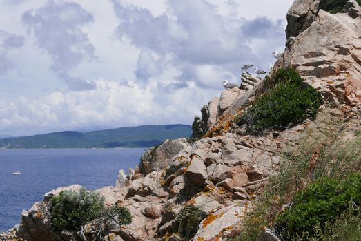 Holidays in southern Corsica.
Discovery of the Sanguinaires Islands, next to the city of Ajaccio