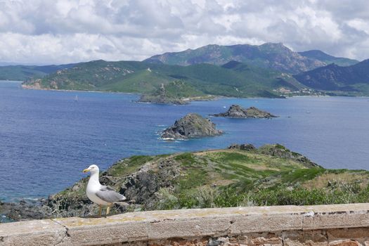 Holidays in southern Corsica.
Discovery of the Sanguinaires Islands, next to the city of Ajaccio