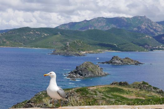 Holidays in southern Corsica.
Discovery of the Sanguinaires Islands, next to the city of Ajaccio