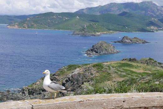 Holidays in southern Corsica.
Discovery of the Sanguinaires Islands, next to the city of Ajaccio