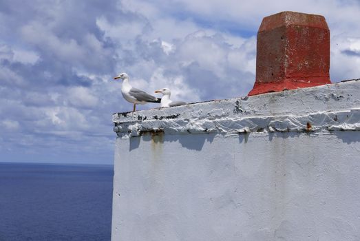 Holidays in southern Corsica.
Discovery of the Sanguinaires Islands, next to the city of Ajaccio
