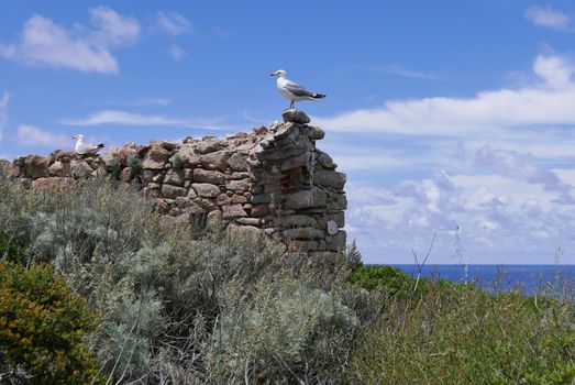 Holidays in southern Corsica.
Discovery of the Sanguinaires Islands, next to the city of Ajaccio